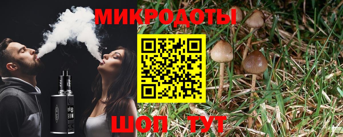 Галлюциногенные грибы Psilocybine cubensis Алушта