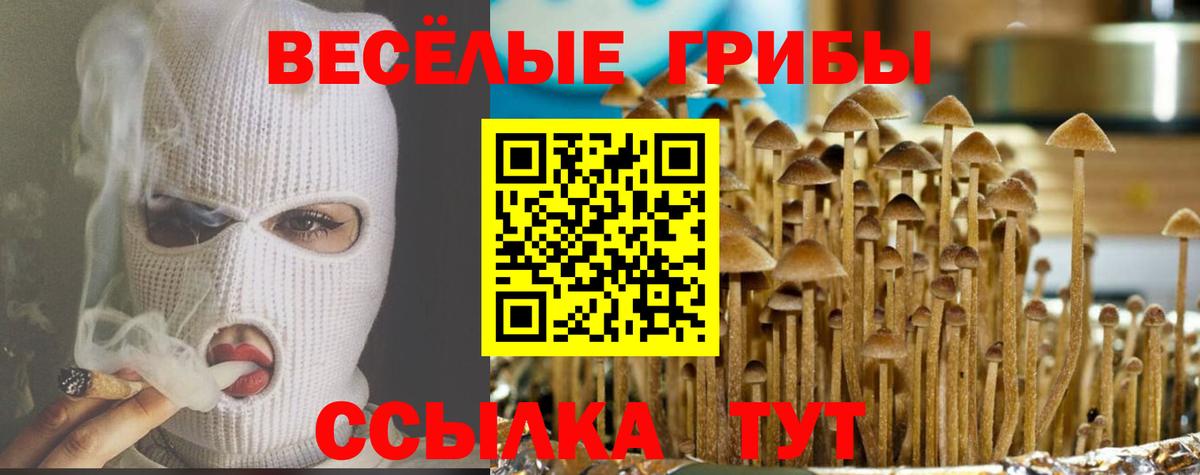 Алушта  Галлюциногенные грибы Magic Shrooms  Вход с VPN 